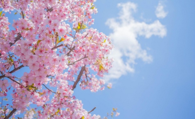 Слънчево време с краткотрайни превалявания