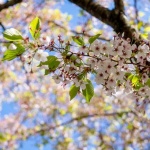 Слънчево време в третия ден на Великден