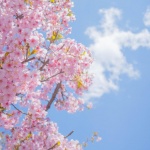 Слънчева събота