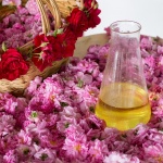 България е световен лидер в розовото масло с над 60% пазарен дял