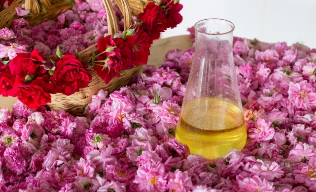 България е световен лидер в розовото масло с над 60% пазарен дял