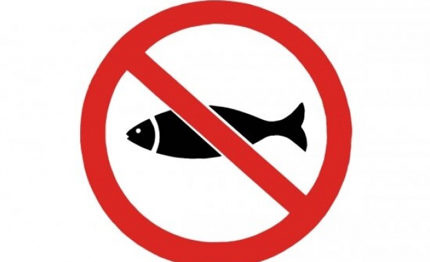 От днес влиза в сила забраната за улов на риба
