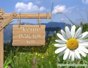 Родени на 27 август