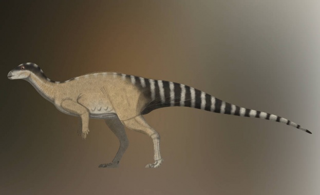 Палеонтолози откриха фосил от нов вид тревопасен динозавър живял преди