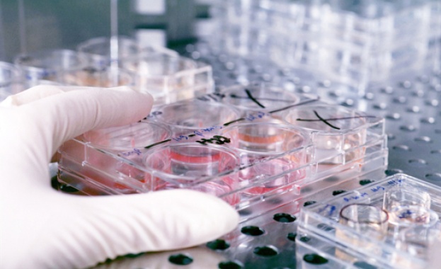 На 29 април се отбелязва Световният ден на имунологията Той