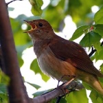 Май е най-добрият месец, защото...