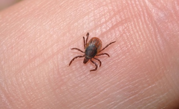 В сезона на активност на кърлежите се препоръчва избягването на