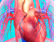 Как резките температурни амплитуди влияят на кръвното и имунитета