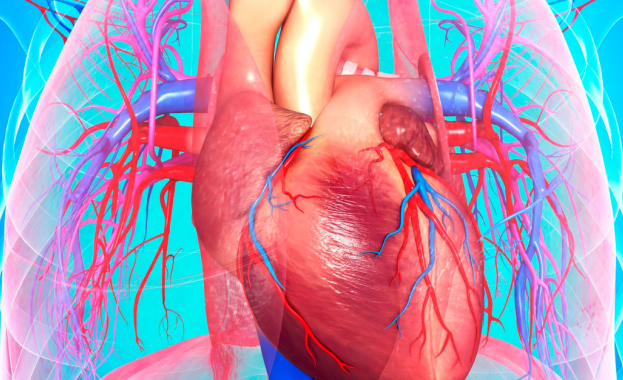 Американски кардиолози твърдят че дори кратките изблици на ярост могат