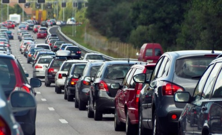 Шумът от трафика засяга дивата природа много по-дълбоко от очакваното