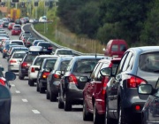 Шумът от трафика засяга дивата природа много по-дълбоко от очакваното