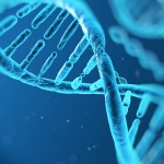 25 април  - Международен ден на ДНК