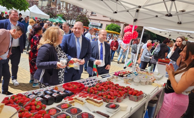 Площите с ягодови насаждения в община Кричим са се увеличили