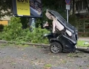 Двама младежи загинаха при тежка катастрофа в Пловдив