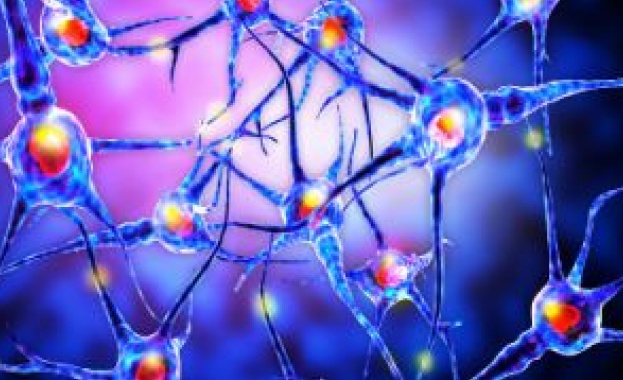 "България се включва в глобална инициатива за борба с рядкото заболяване Неврофиброматоза