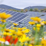 България планира да добива 20 GW енергия от възобновяеми източници до 2050 г.  