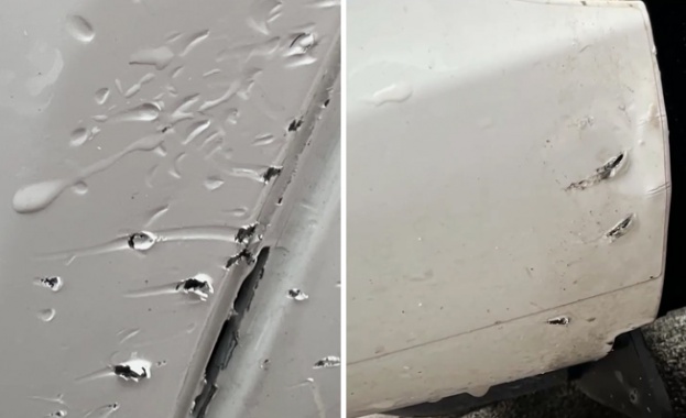 Глутница кучета разфасова автомобили в София Животните ръфат маркучи гризат