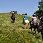 Разходка на кон по границите на Княжество България