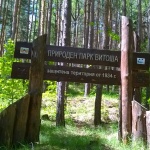 Институциите предприемат координирани действия след инцидент в Природен парк „Витоша“