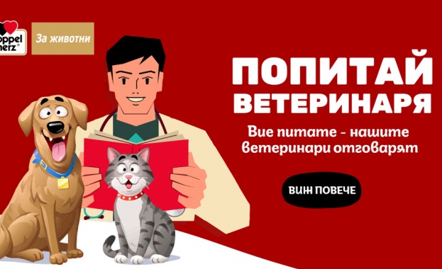 DogsAndCats.bg помага на собствениците на домашни любимци с новата кампания „Попитай ветеринаря”