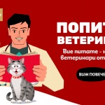 DogsAndCats.bg помага на собствениците на домашни любимци с новата кампания „Попитай ветеринаря”