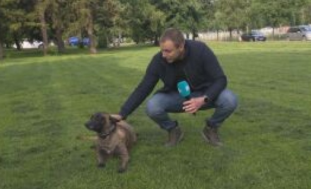 След поредния трагичен случай с нападение от куче при което