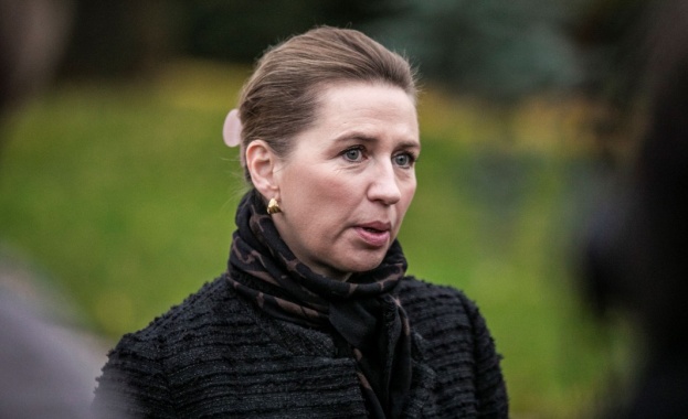 Осъдиха поляк за нападението над премиера на Дания Мете Фредериксен