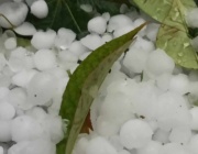 Градушка с големина на орех удари Крумовград