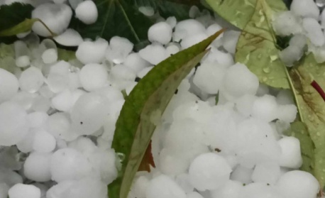 Градушка с големина на орех удари Крумовград