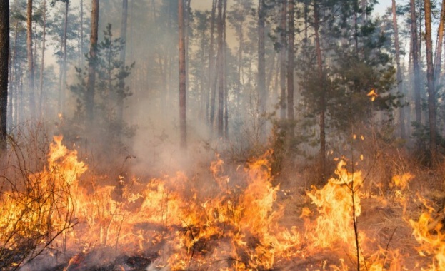 В сила остава частичното бедствено положение в Харманли и Любимец