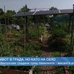 Да живееш в големия град, но да ядеш зеленчуци от градината пред блока? Да, възможно е