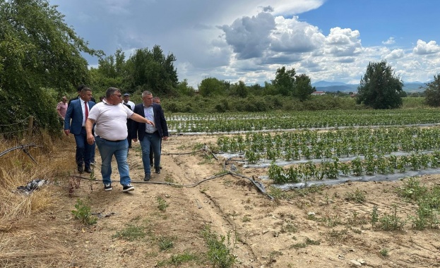 Много населени места в страната понесоха сериозни щети от падналите