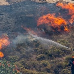 Пет големи горски пожара бушуват в Гърция