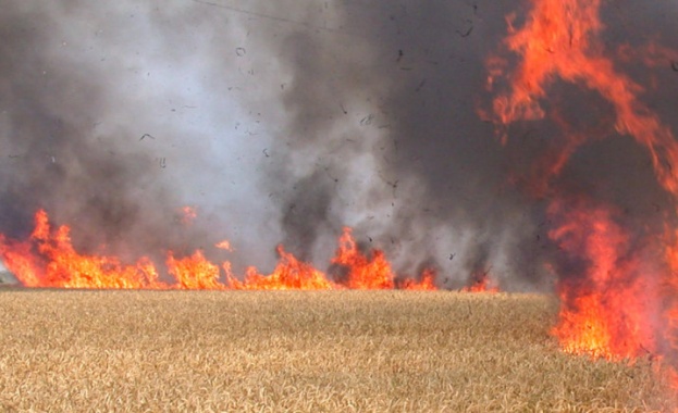 По думите на вътрешния министър ще бъдат ремонтирани хеликоптерите Кугър