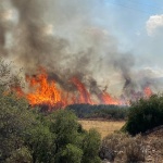 Климатичните промени в България – от потопи до пожари
