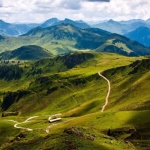 В Царството на планинския еделвайс