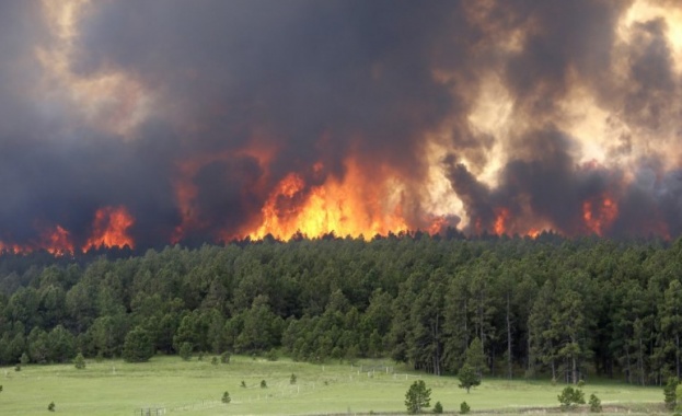 Евакуация в село Скала огънят в Пирин е временно спрян