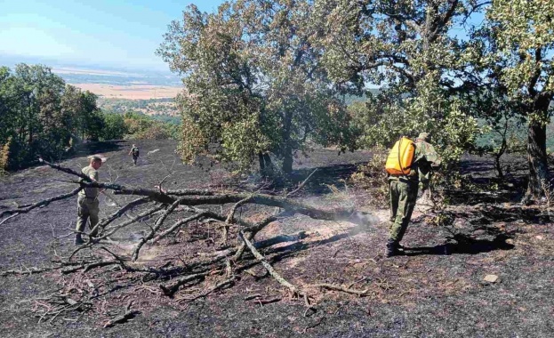 Военнослужещите от модула за гасене на пожари от състава на