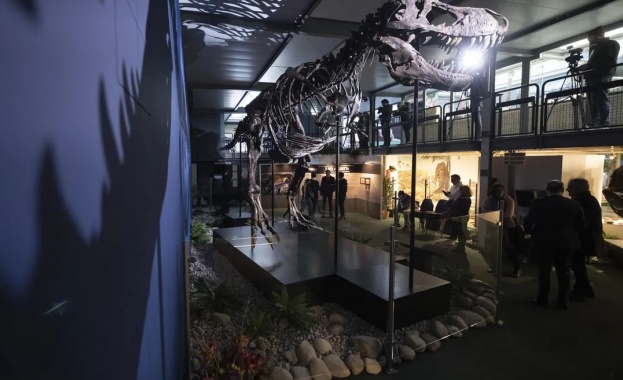 Последните изследвания обаче хвърлиха светлина върху тази древна загадка разкривайки