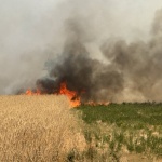 Горещо и пожароопасно време 