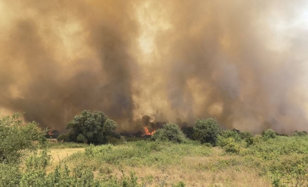 Пожар избухна в Елховско огънят е обхванал сухи треви шубраци