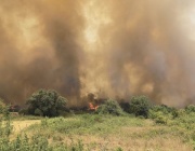 Голям пожар бушува в Хасковско между Динево и Корен, огънят застрашава гора