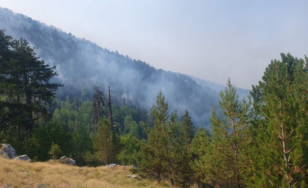 Ликвидиран е пожарът който възникна на 2 август в землището