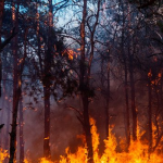Загинали и ранени след падането на кола в пропаст в Мексико