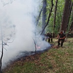 Борбата с горските пожари