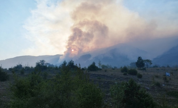 29 активни пожара има в петък 25 юли Това съобщи