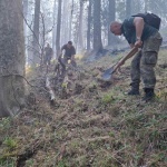 Пожарът във високите части на природен парк "Рилски манастир" е овладян
