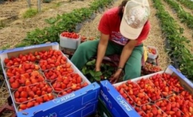 Хуан Браво е създателят на робот който може внимателно да