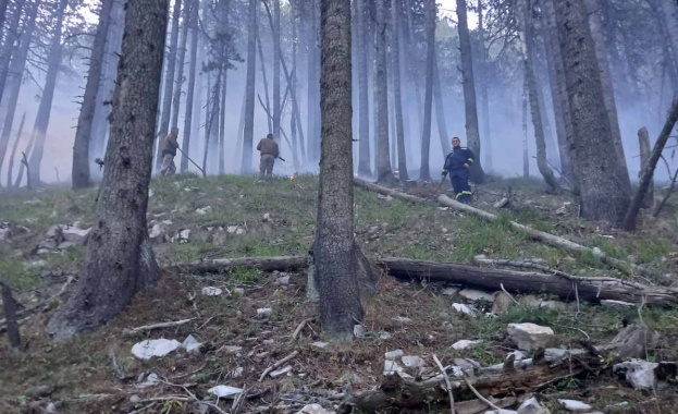 Пожарът в Рила се разраства