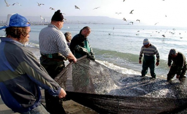 В разгара на лятото рибата е предпочитана храна най вече за